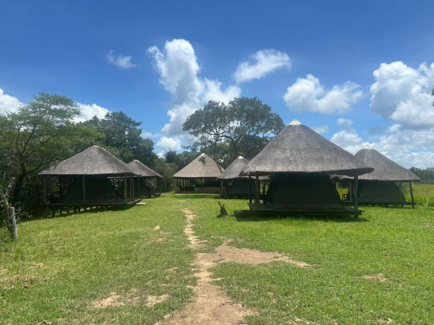 Camping option at Royal Olympia Lodge and Safaris